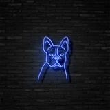 Frenchie - Neon Sign