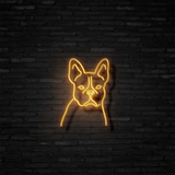 Frenchie - Neon Sign