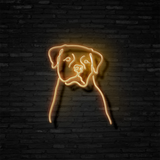 Rottweiler - Neon Sign