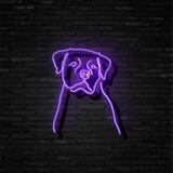 Rottweiler - Neon Sign