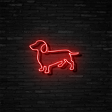 Dachshund  - Neon Sign