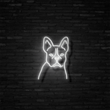 Frenchie - Neon Sign