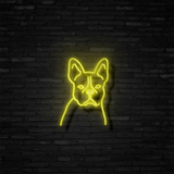 Frenchie - Neon Sign